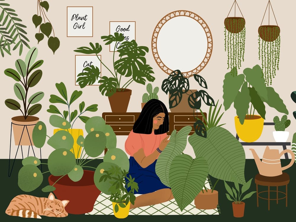 Crazy Plant Lady