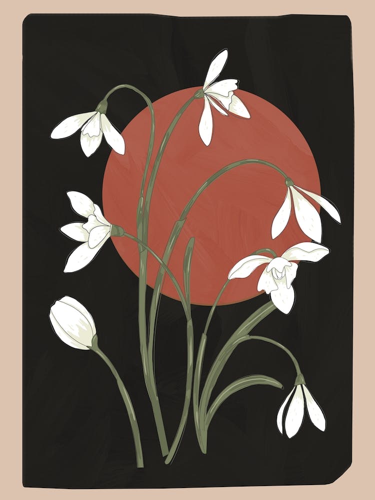 Beautiful Snowdrop Flowers 2