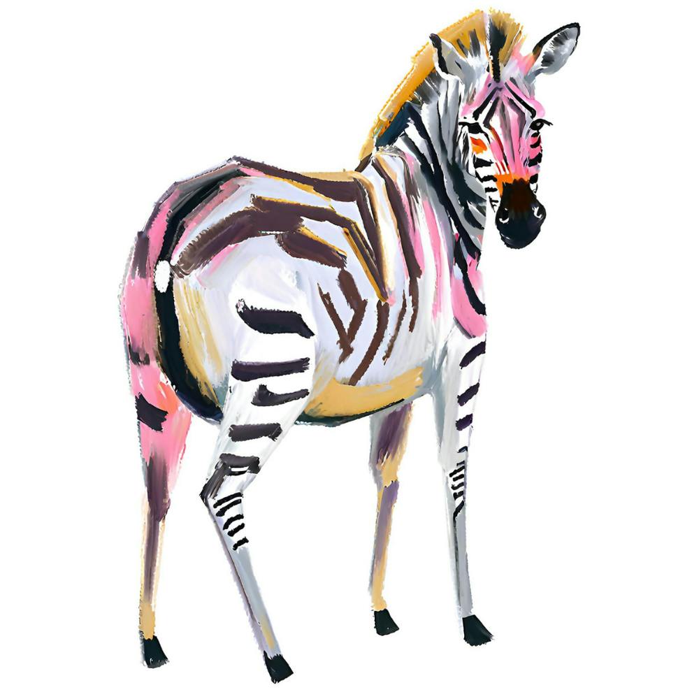 Grevy S Zebra 01