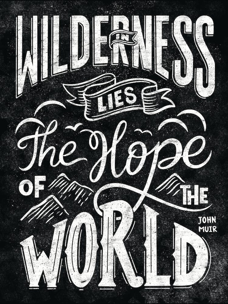 In Wilderness Lies The Hope Of The World