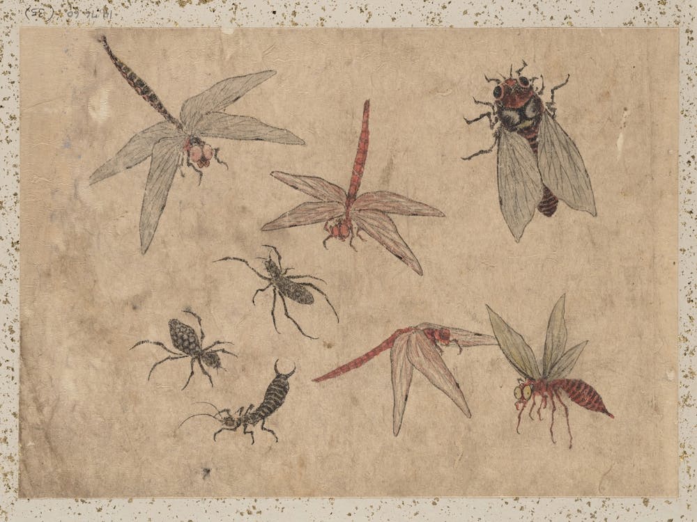 Album Of Sketches By Katsushika Hokusai And His Disciples, Katsushika Hokusai 16