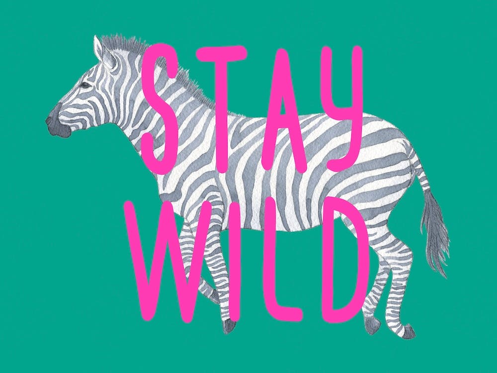 Bleib wild Zebra Grün