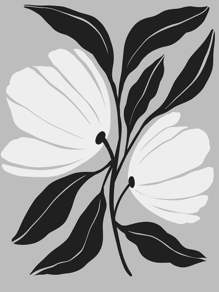 Magnolia 7