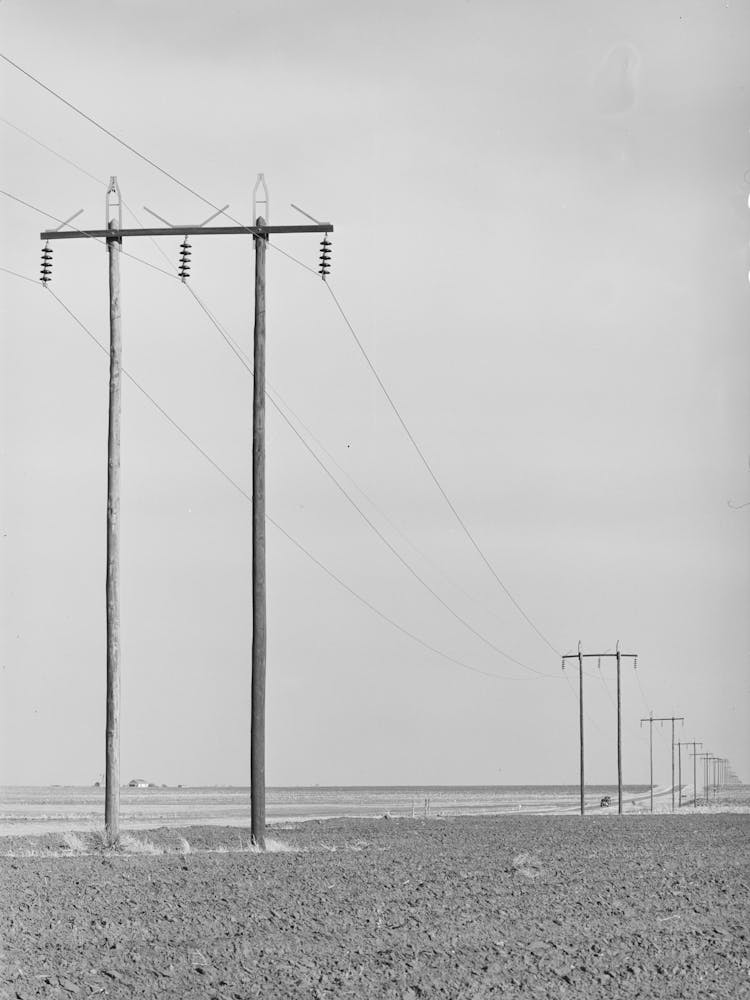 Power Lines Along Highway In Dawson County, Texas By Russell Lee