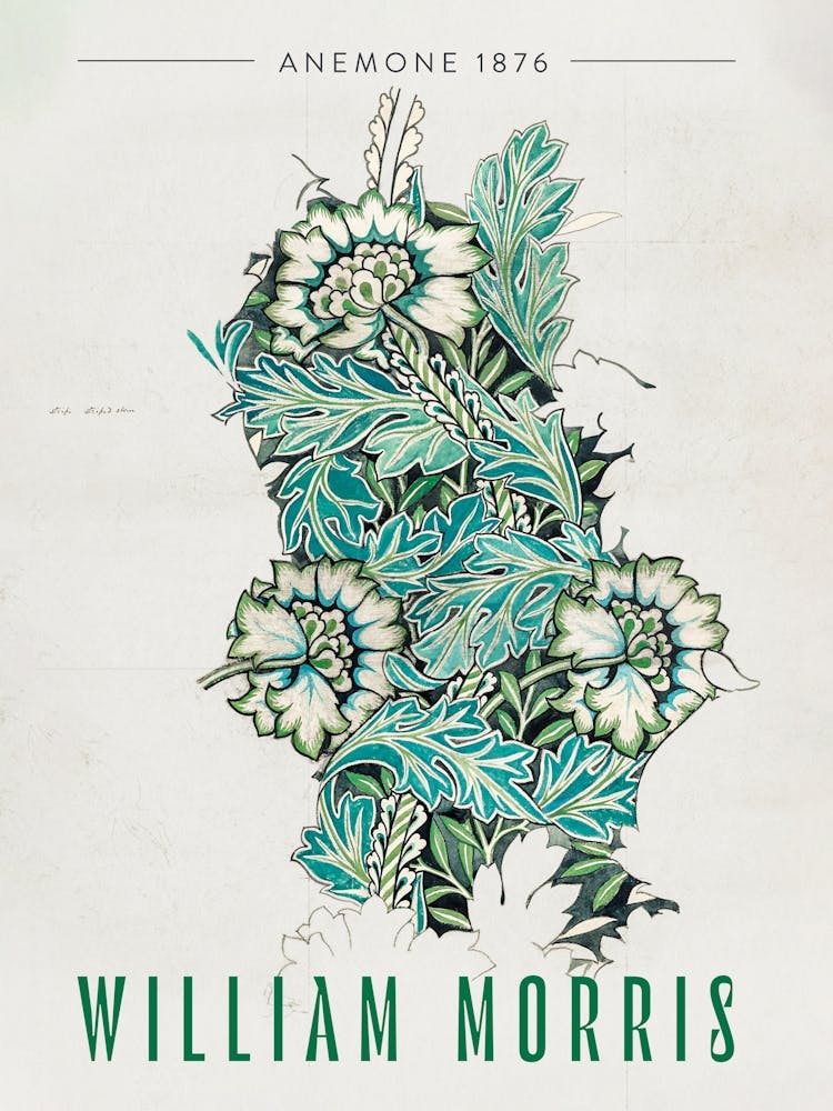 William Morris, Anemone