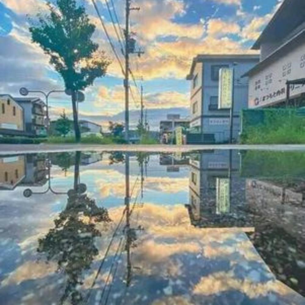 Reflection In A Puddle