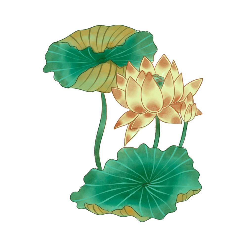 Lotusblume 57