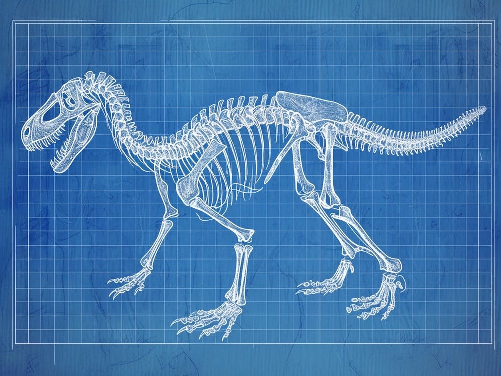 Iguanodon Dinosaur Skeleton Blueprint