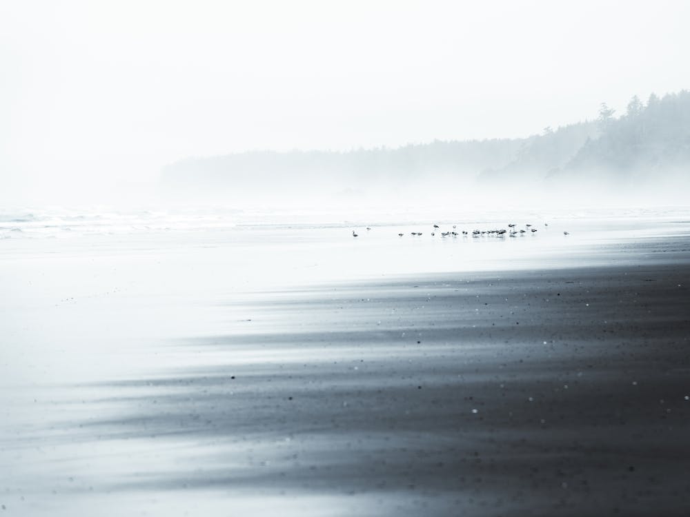 Wanderlust Beach