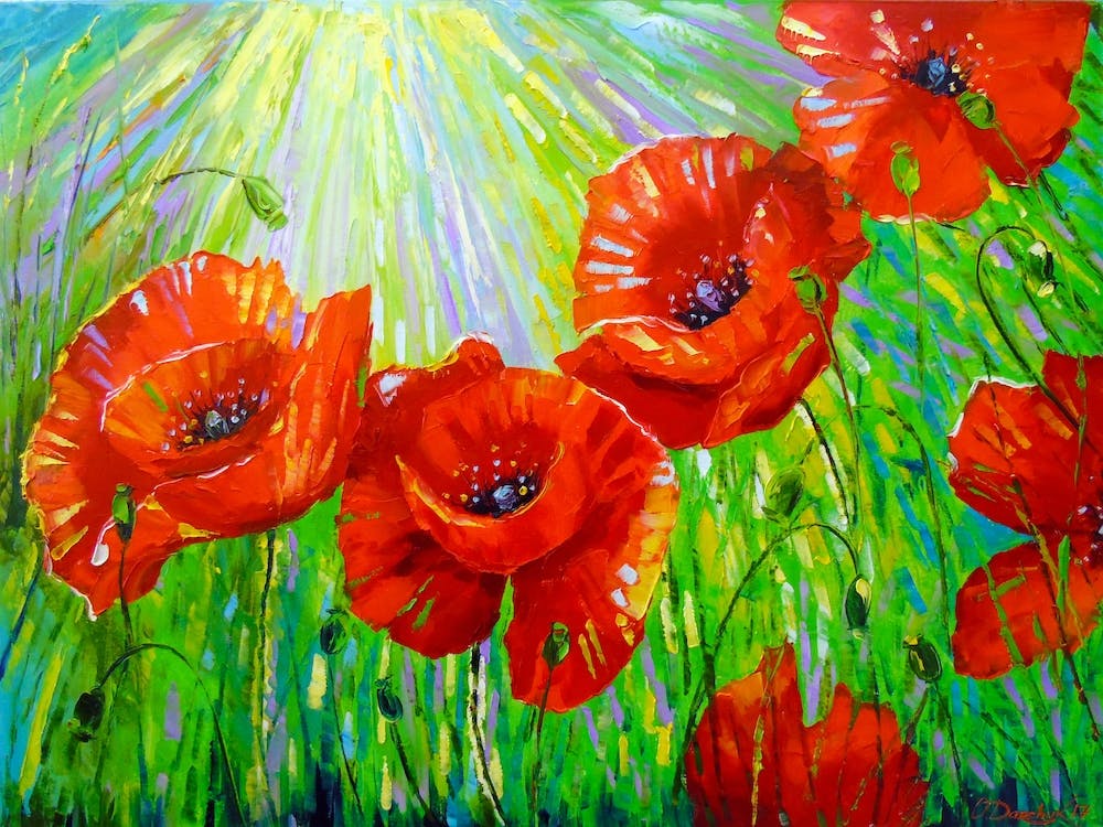 Poppies in the sunlight