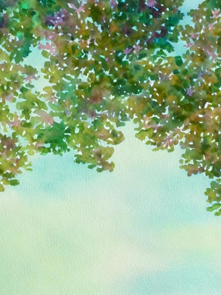 Acropora Digitifera Ii Storybook Watercolour