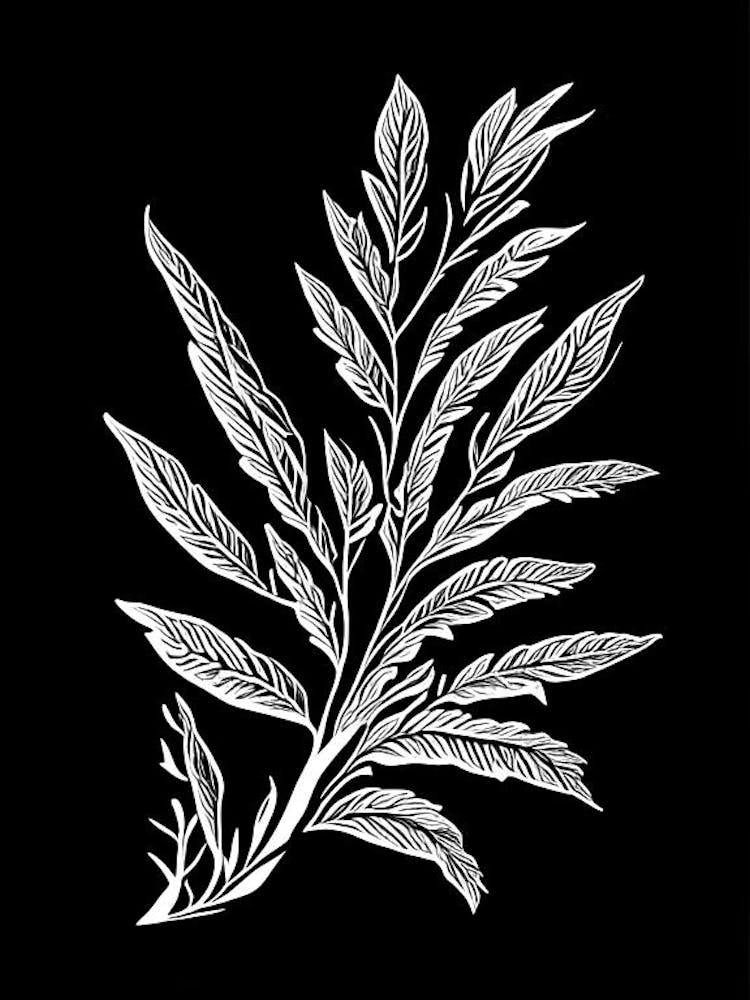 Summer Savory Leaf Linocut 1