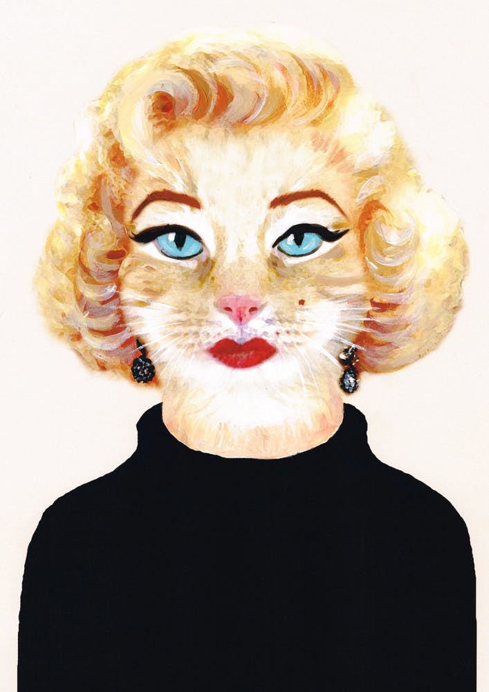 Marilyn Monroe Cat