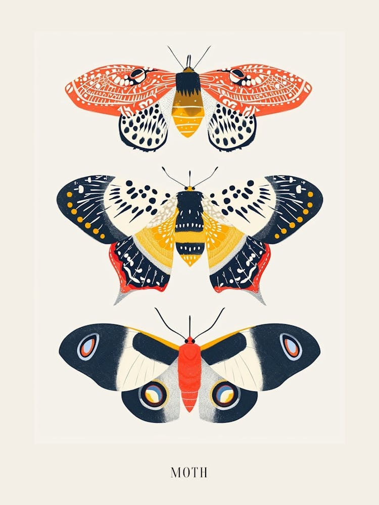 Colourful Insect Illustration Moth 53 Poster