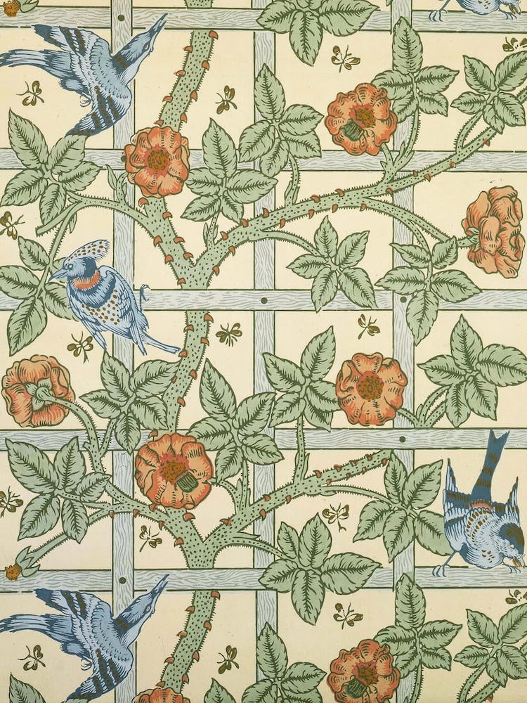 Trellis, William Morris And Phillip Webb