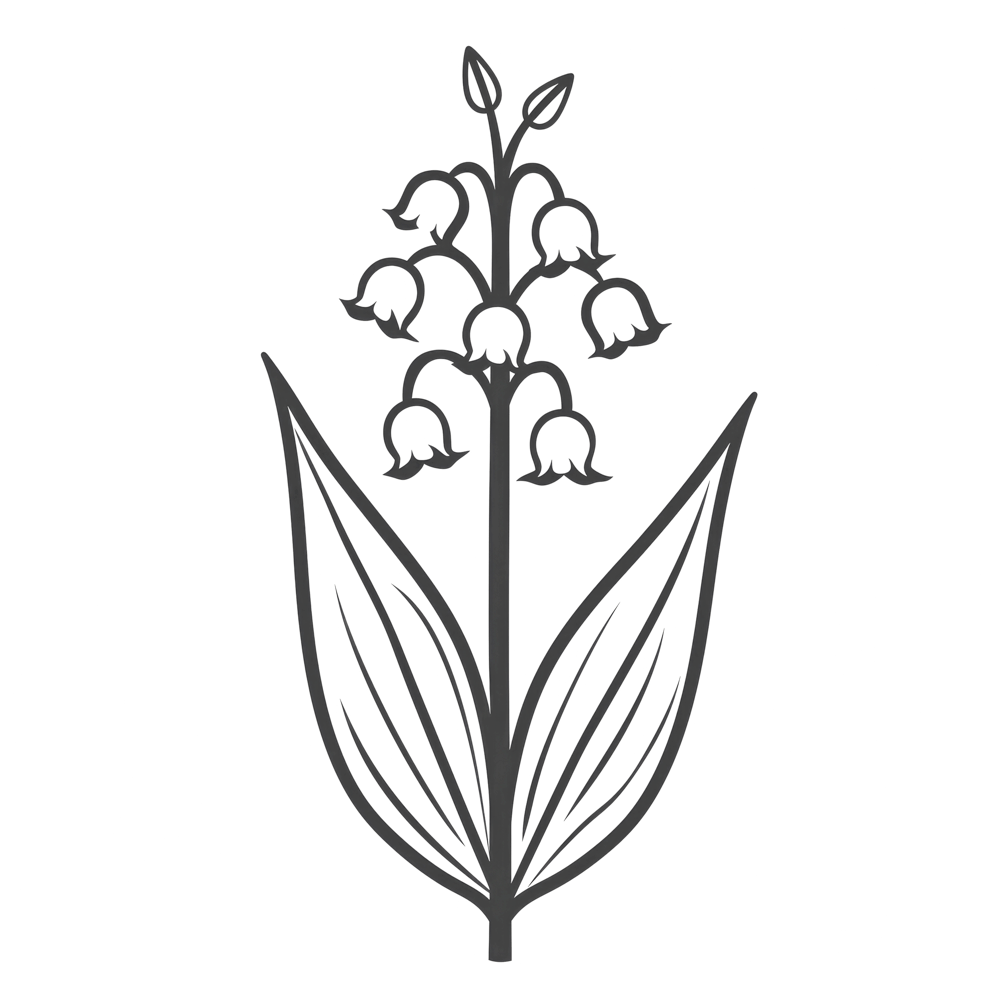 Lily Of The Valley May Birth Month Flower