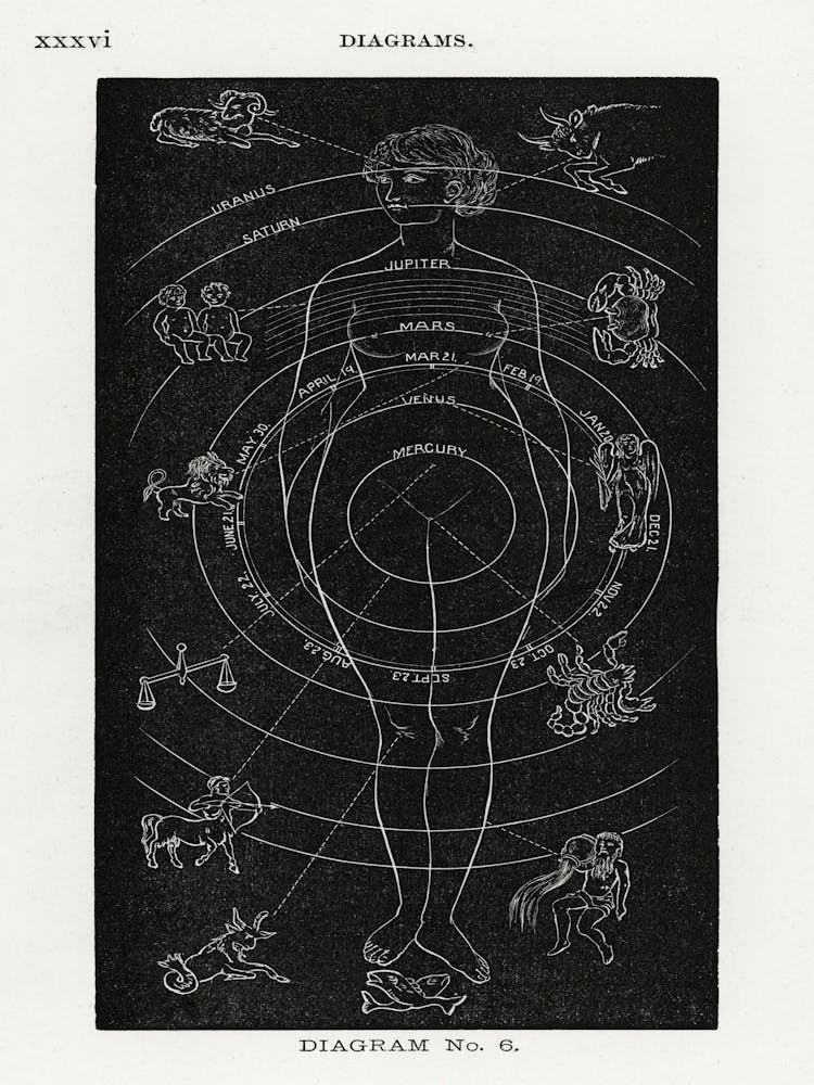 Diagram no.6, Hiram Erastus Butler