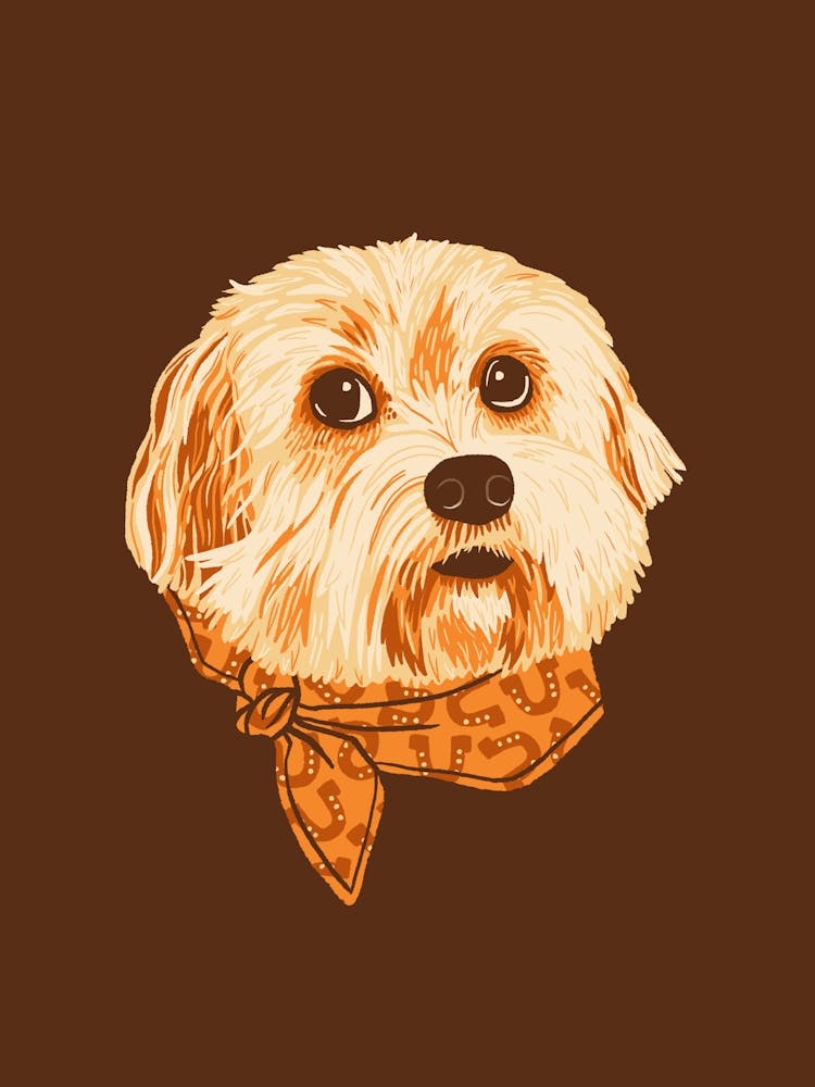 Molly The Cowgirl Pup