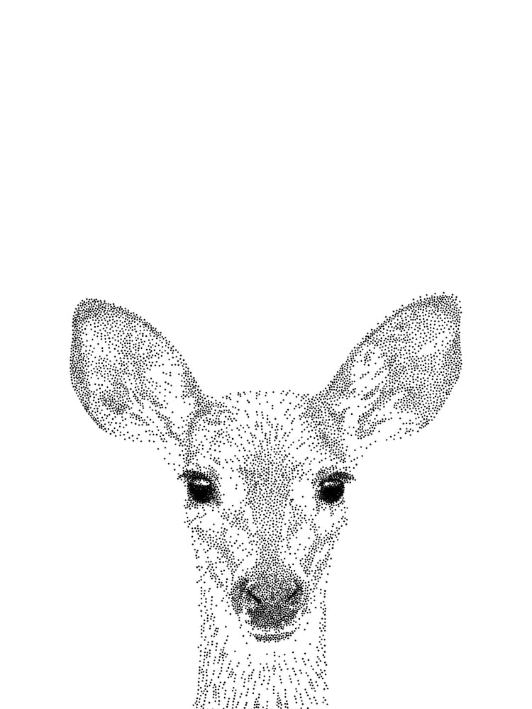 Deer Animal Print