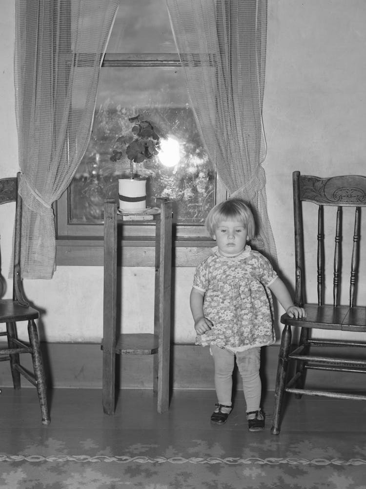 Little Girl In Front Of Window, Williams County, North Dakota By Russell Lee