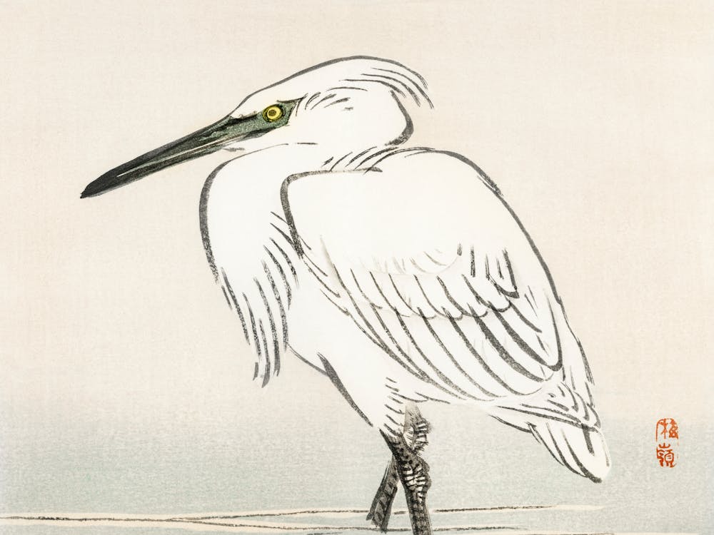 Egret