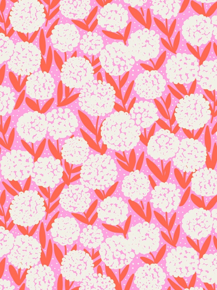 Blooming Abstract Allium Flowers White Coral Pink