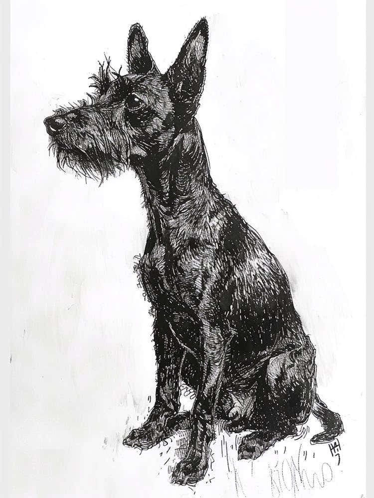 Manchester Terrier Dog Line Sketch 1