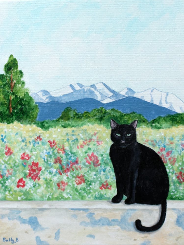 Cat And Mountain