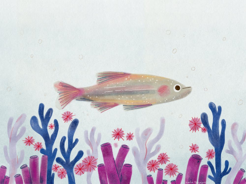 With The Fishes