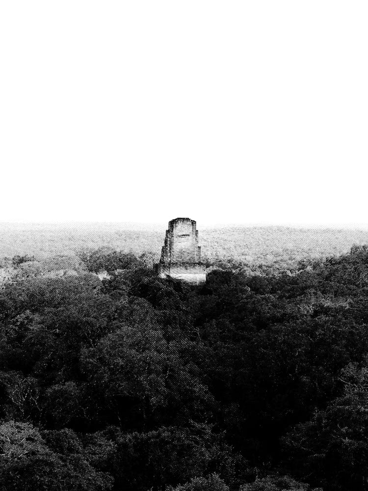 Tikal National Park Maya Ruins Guatemala Black and White Minimalist Boho