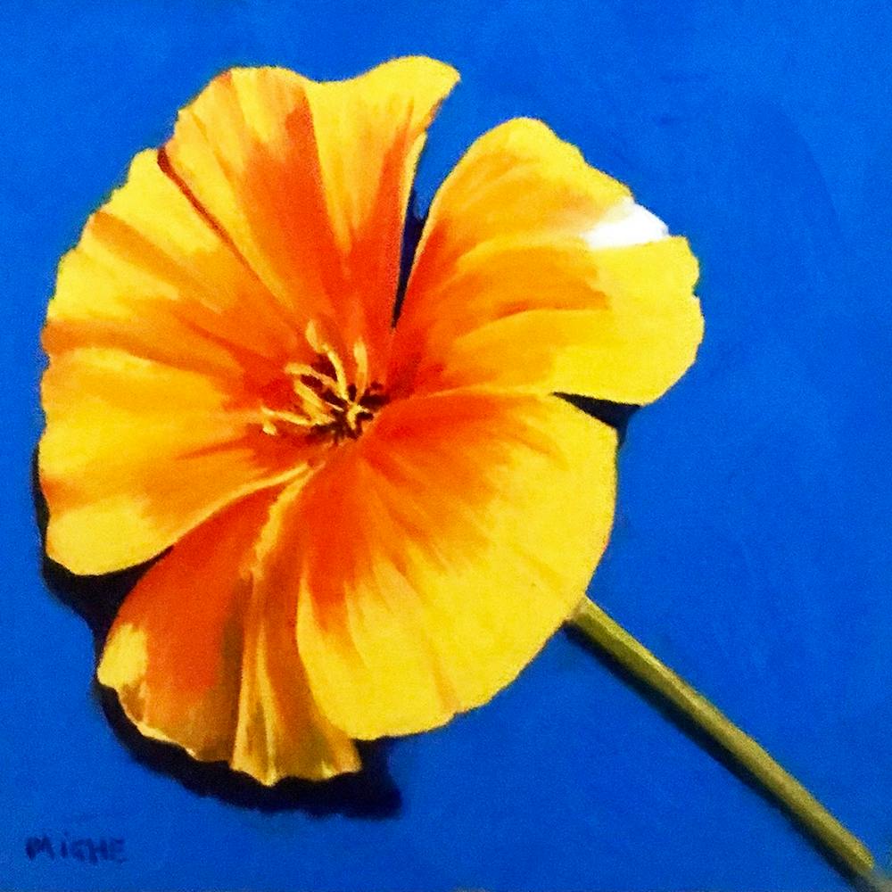 Californian Poppy 1