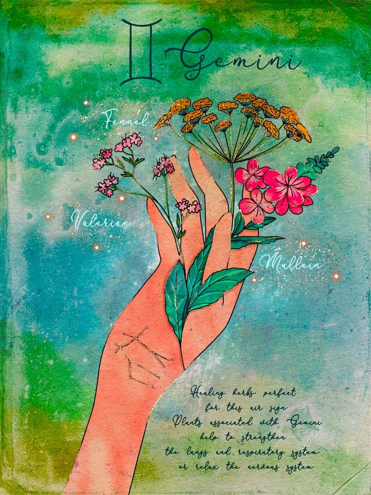 Gemini Healing Herbs