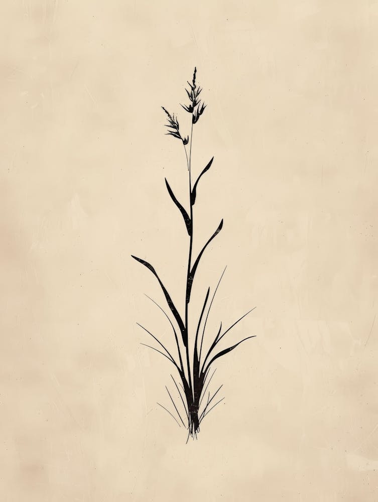 Grass 1