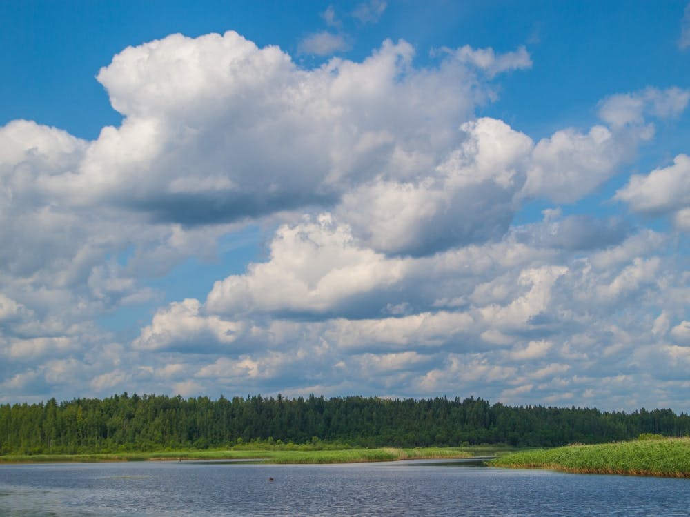 Cloudy Sky Over A Lake