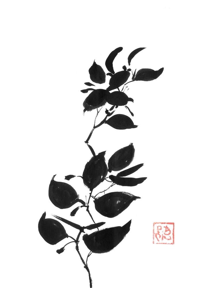 Branch