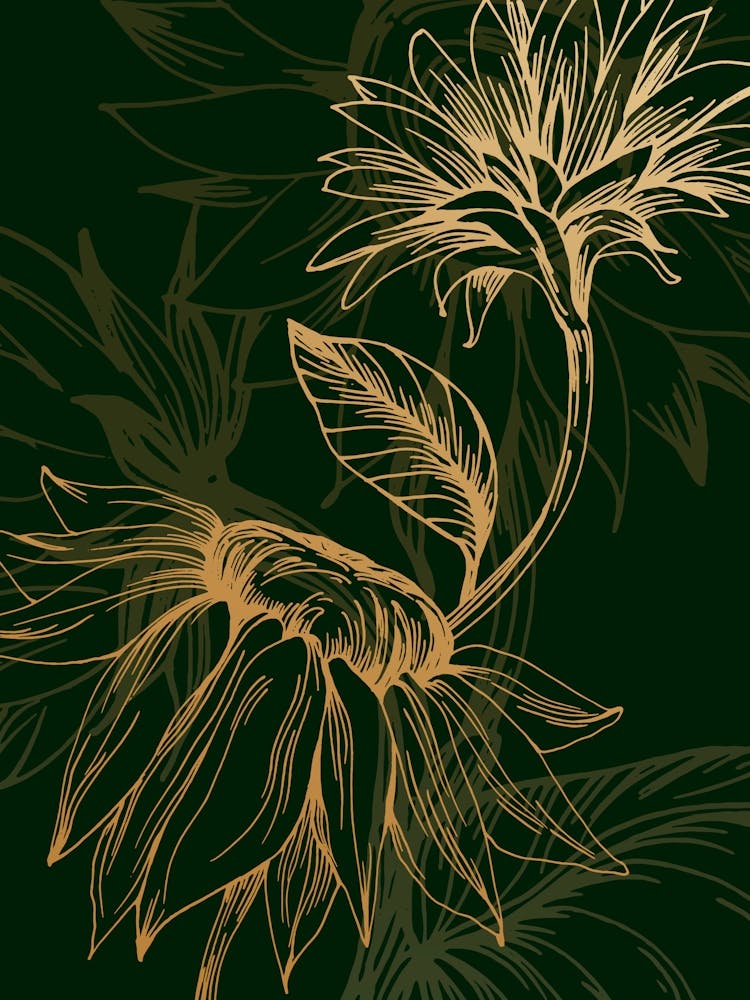 Sonnenblumen 1