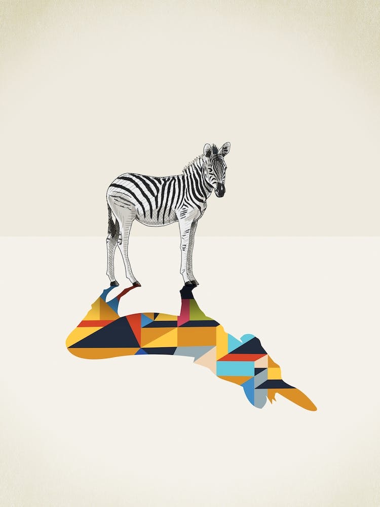 Walking Shadows   Zebra