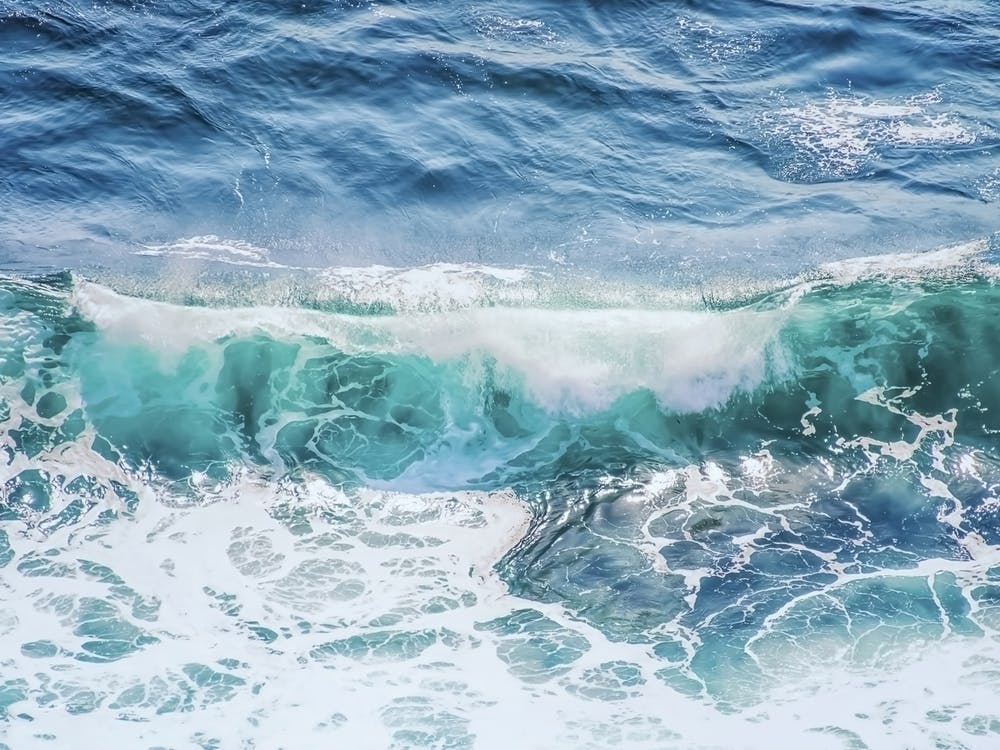 The Wave
