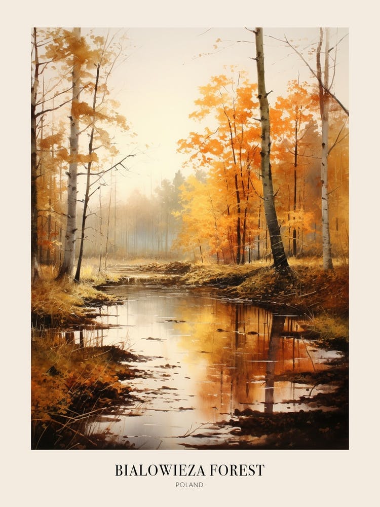 Autumn Forest Landscape Bialowieza Forest Poland 2 Poster