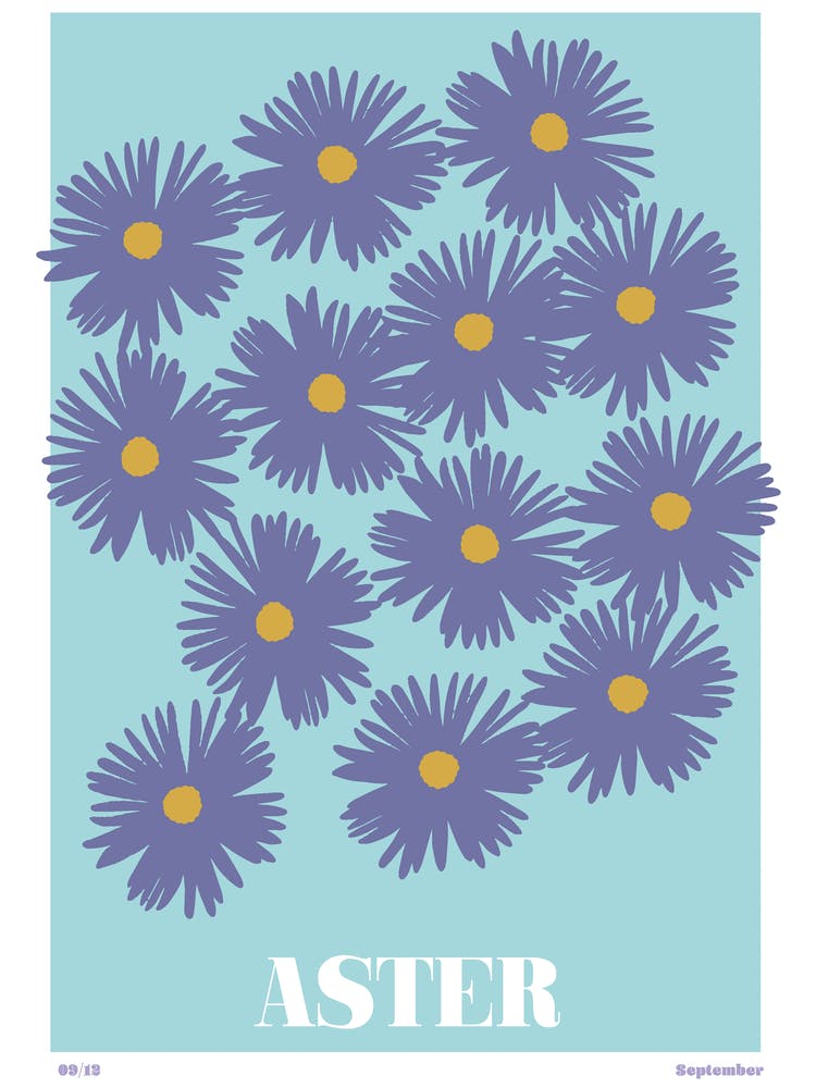 September Geburtsmonatsblume
