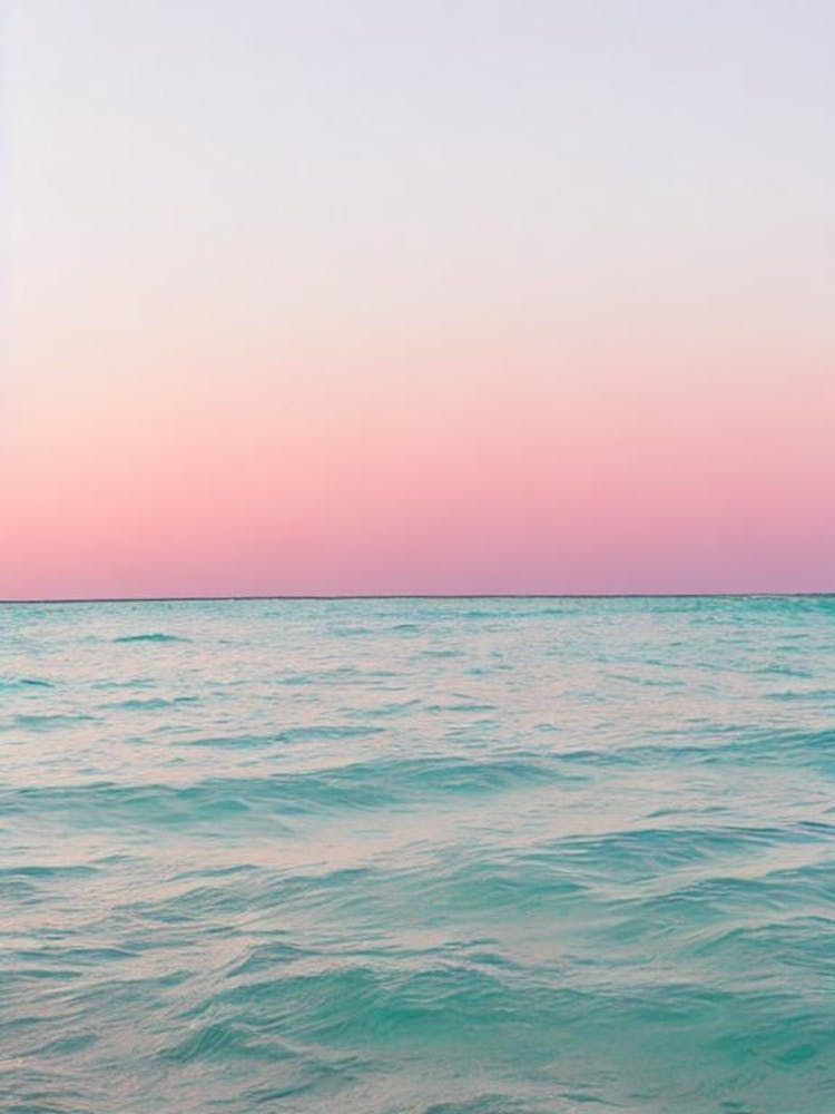 Half Moon Caye, Belize Pink Photography 2