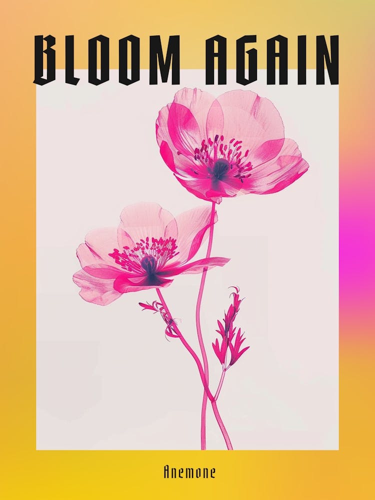Hot Pink Anemone Poster