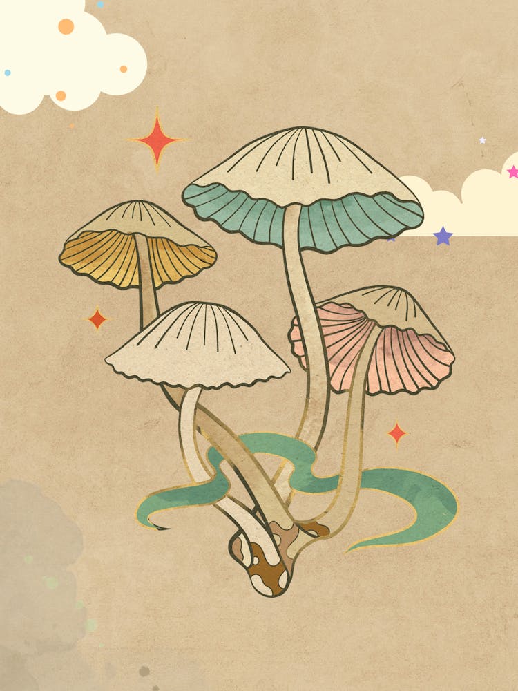 Mushroom 1