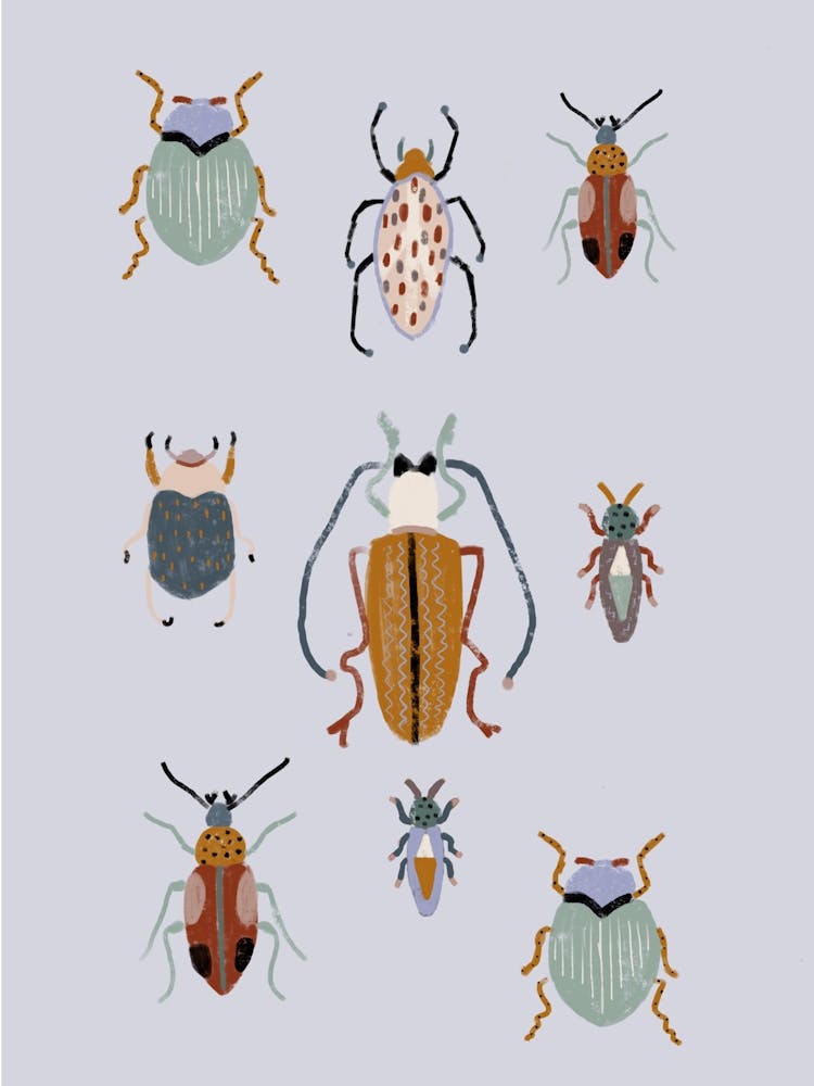 Insectes Bleus