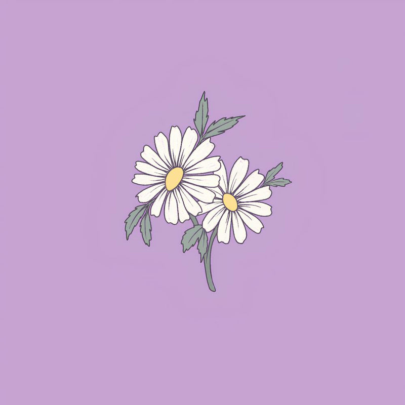 Daisy