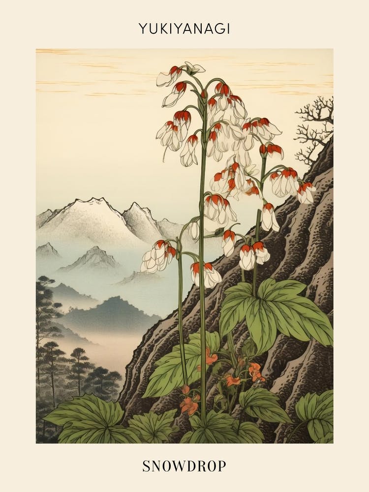 Yukiyanagi Snowdrop Japanese Botanical Illustration Poster