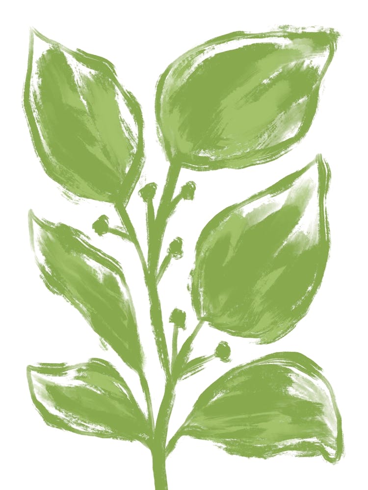 Big Green Leaves
