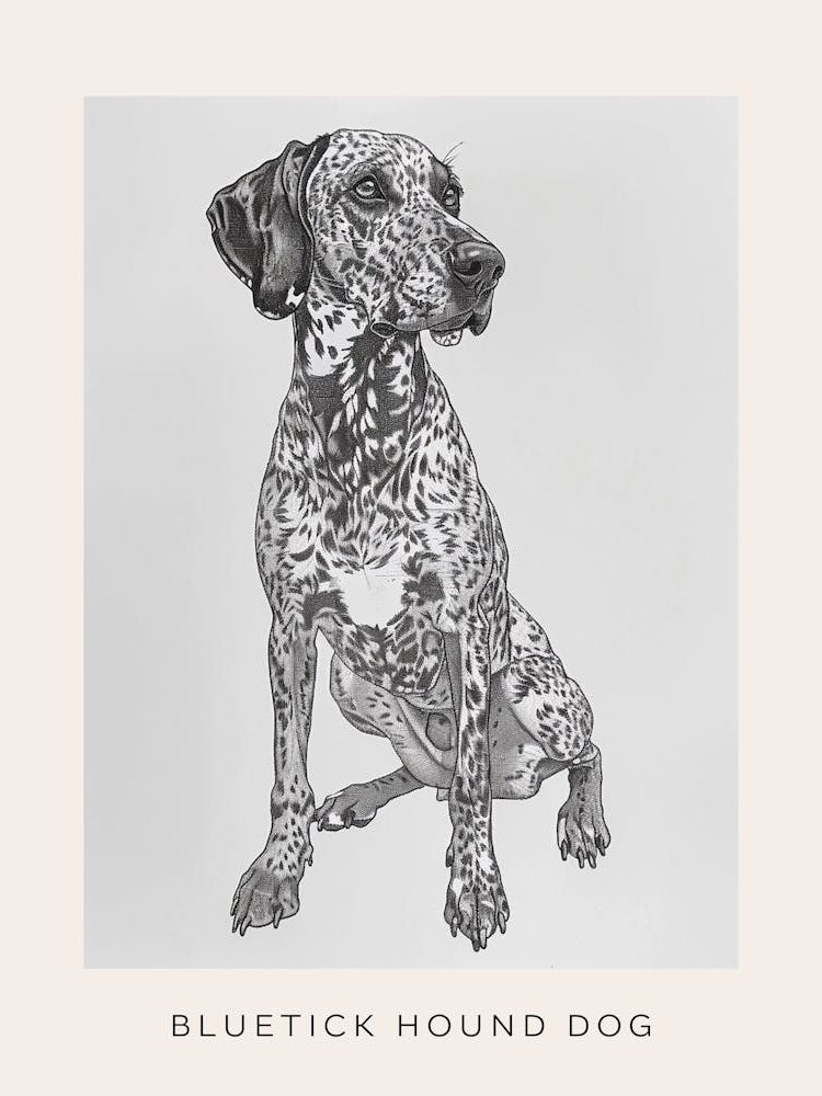 Bluetick Hound Dog Line Sketch 1 Poster