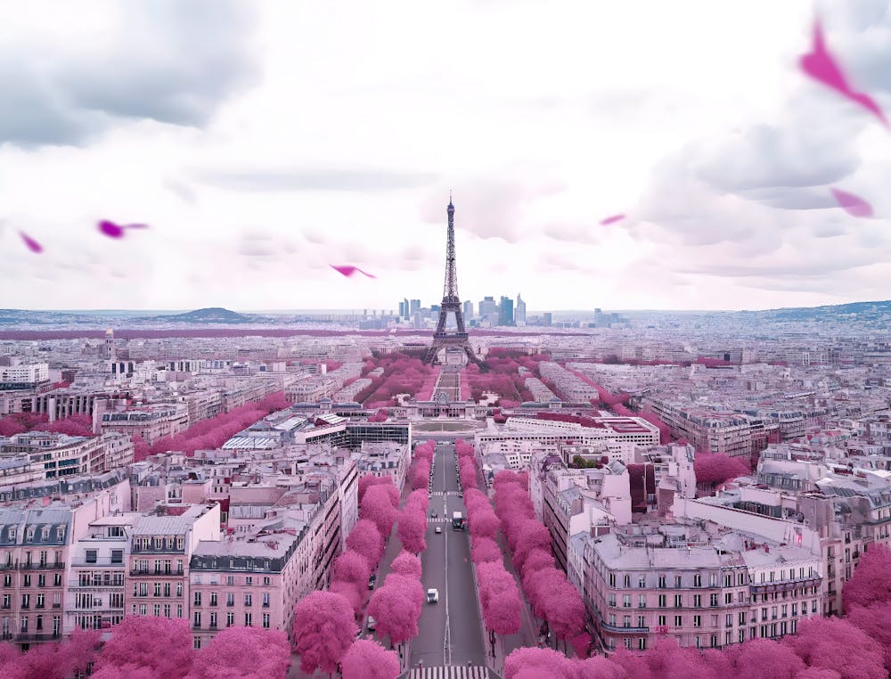 Paris Rose