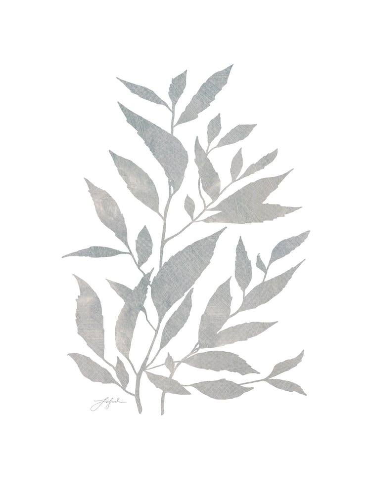 Grey Plant No486a